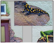 Wandmalerei. Making of ... Haustür. Salamander Frosch. Fassade Wandgemälde Hauswand. Wandmalerei Evelina Iacubino