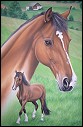 Pferd Portrait Tiermalerei Evelina Iacubino